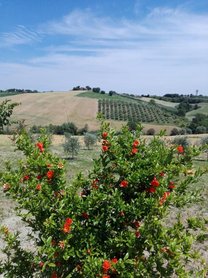 Il Giardino Nella Valle Belvedere Ostrense Exterior foto