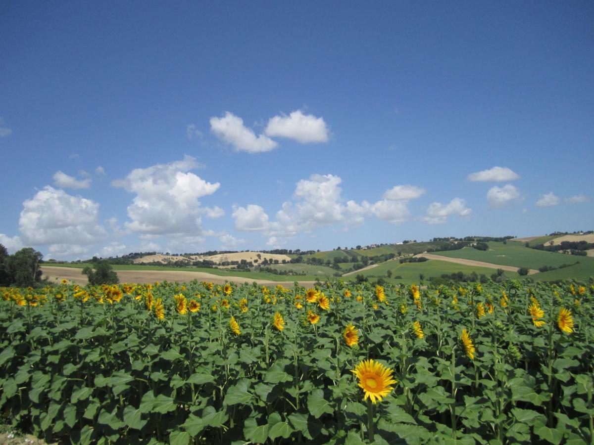Il Giardino Nella Valle Belvedere Ostrense Exterior foto