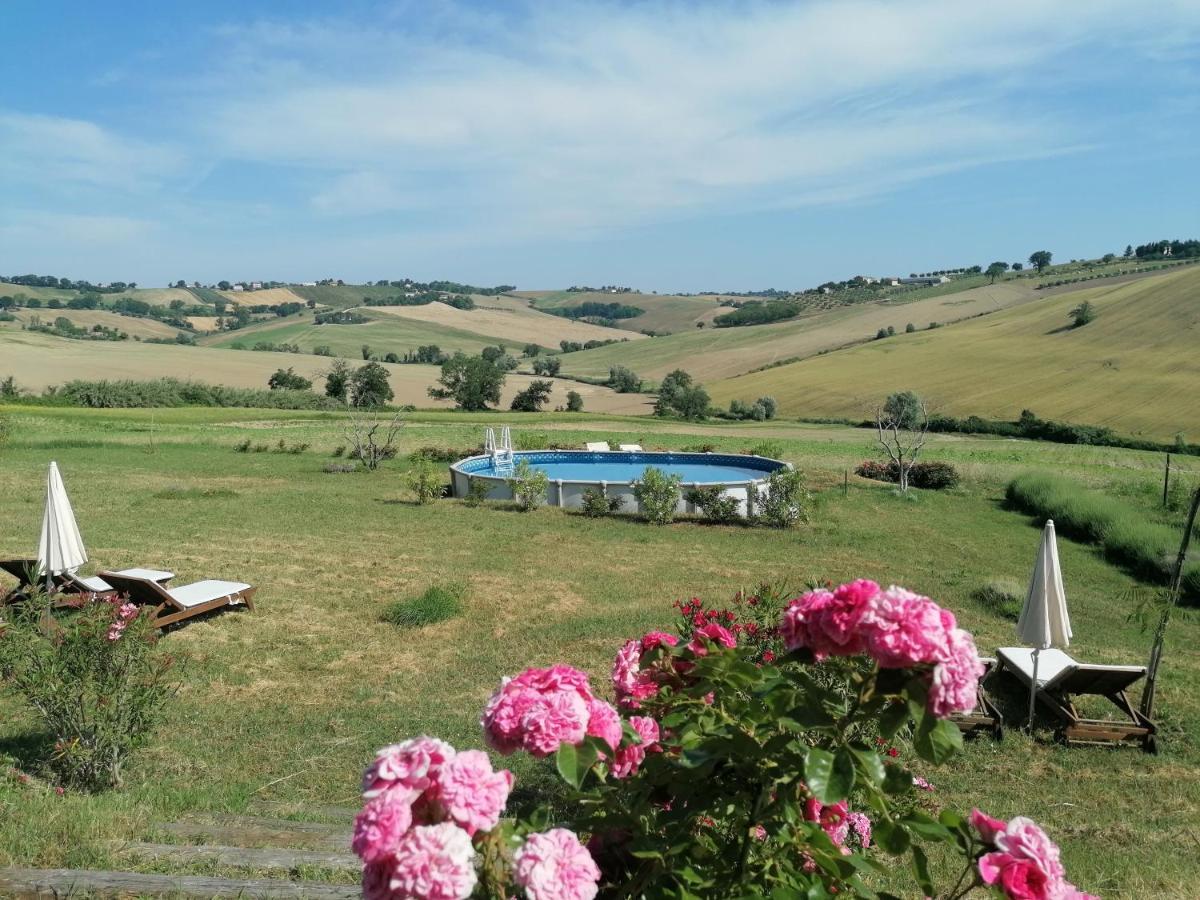 Il Giardino Nella Valle Belvedere Ostrense Exterior foto