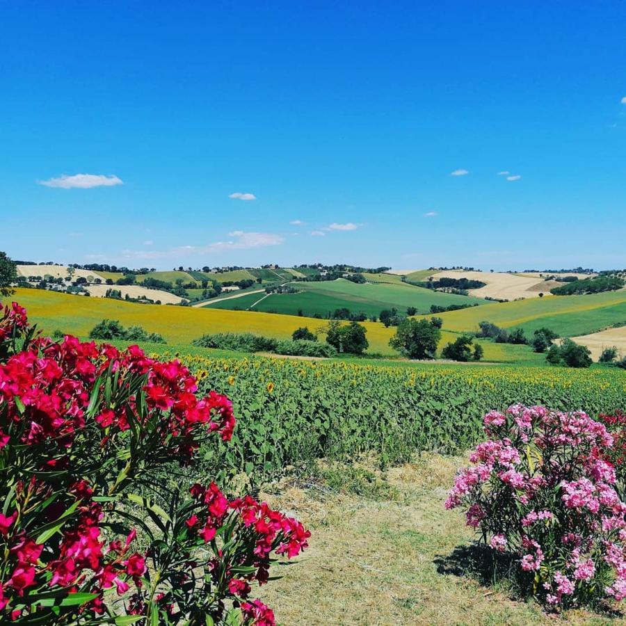 Il Giardino Nella Valle Belvedere Ostrense Exterior foto