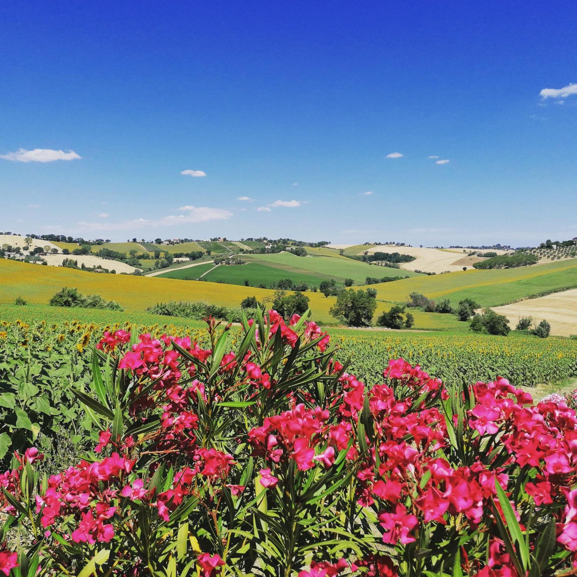 Il Giardino Nella Valle Belvedere Ostrense Exterior foto