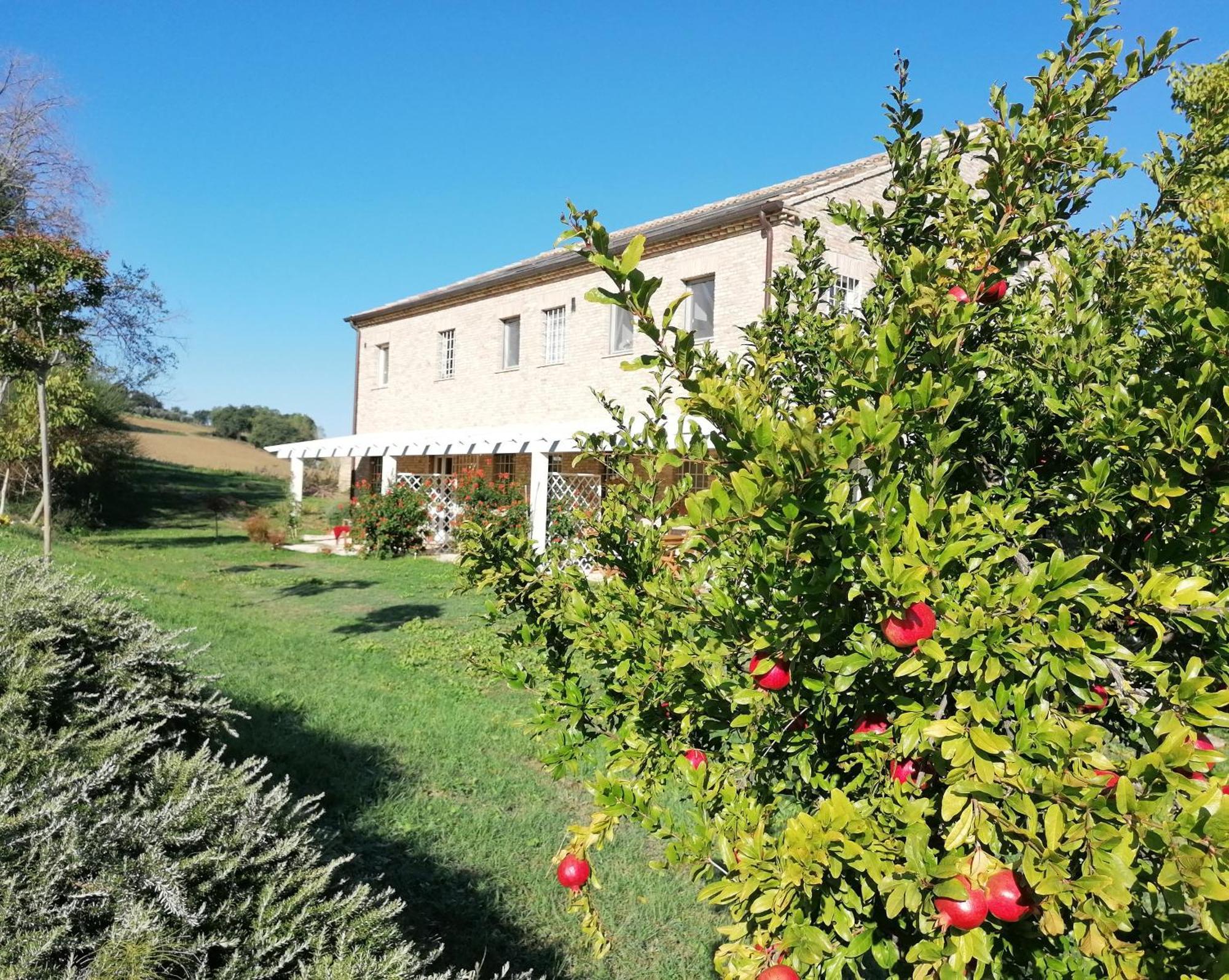 Il Giardino Nella Valle Belvedere Ostrense Exterior foto