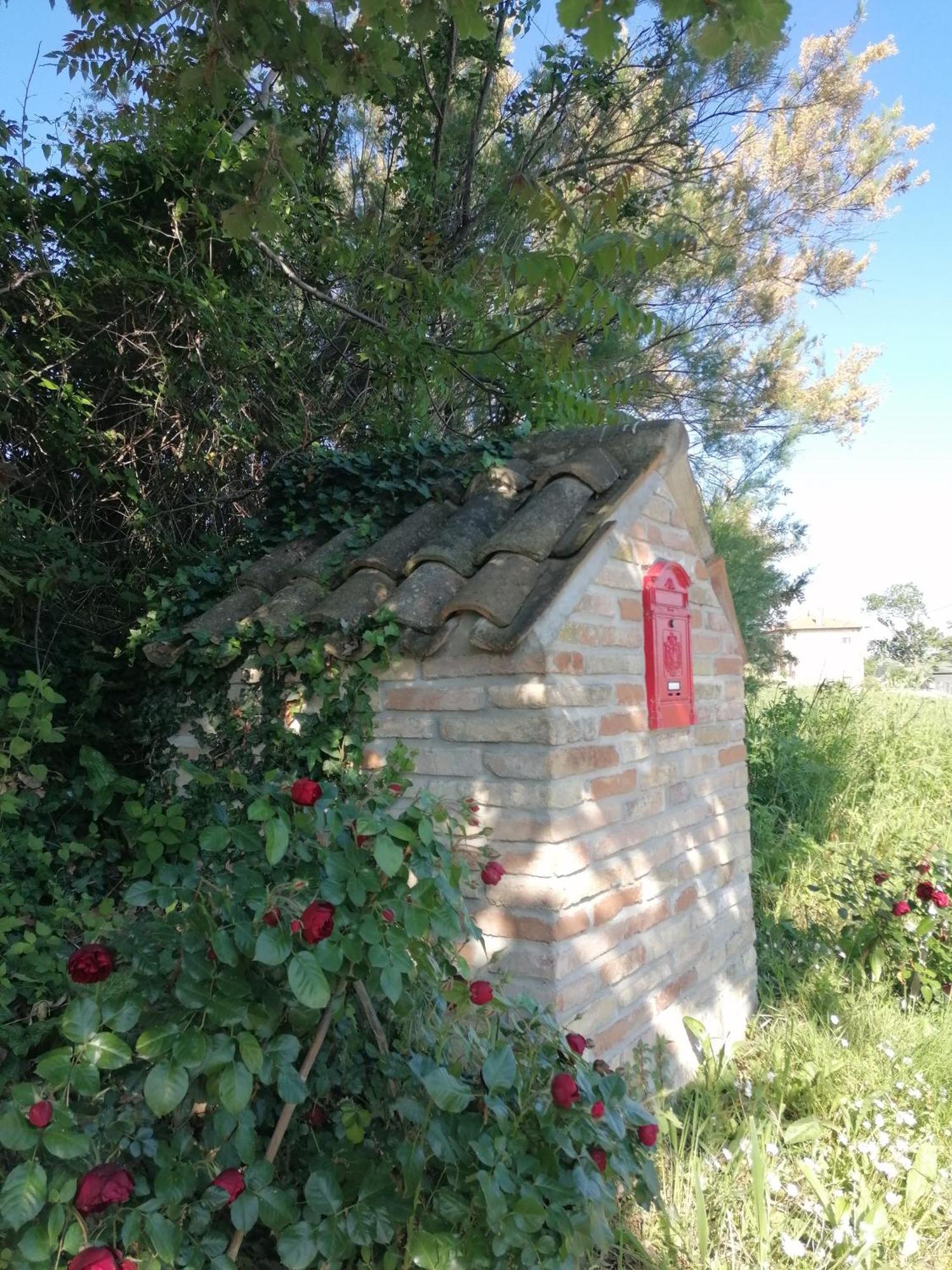 Il Giardino Nella Valle Belvedere Ostrense Exterior foto