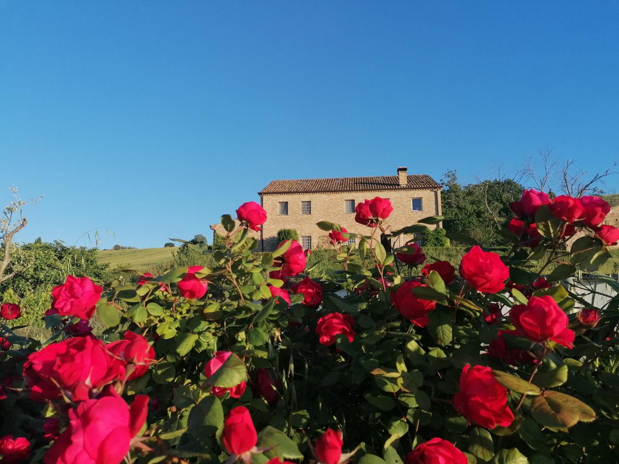 Il Giardino Nella Valle Belvedere Ostrense Exterior foto