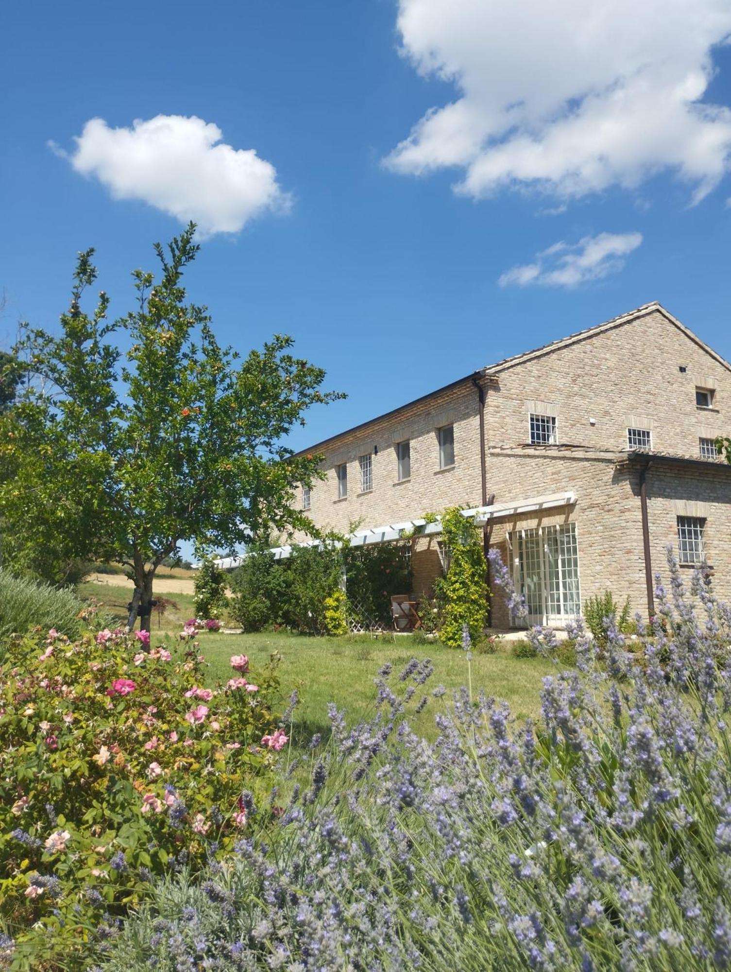Il Giardino Nella Valle Belvedere Ostrense Exterior foto